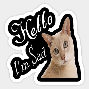 Hello my cat sad Sticker